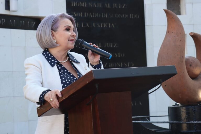 Rebeca Aladro niega registro en proceso interno de participación política
