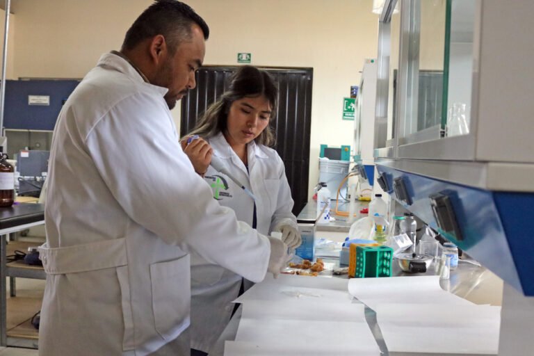 ITESHU transforma residuos de maguey en una alternativa al mixiote natural