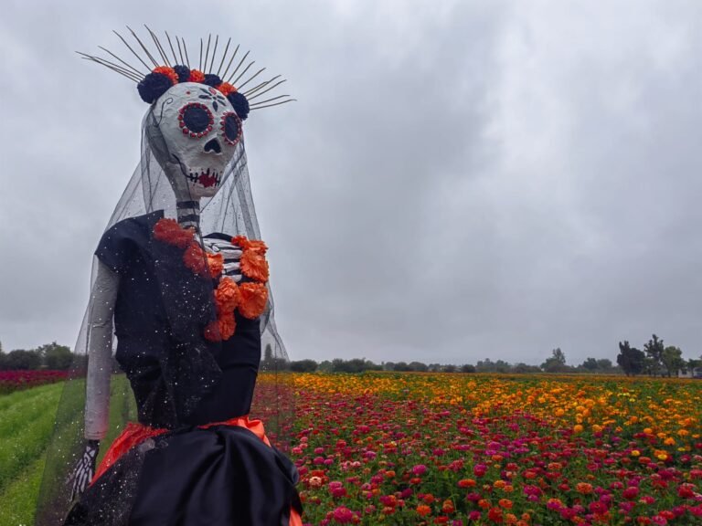 Ejidatarios de Doxey exigen participación directa en Festival de la Flores